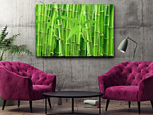 Zelený obraz Bambus zs1162